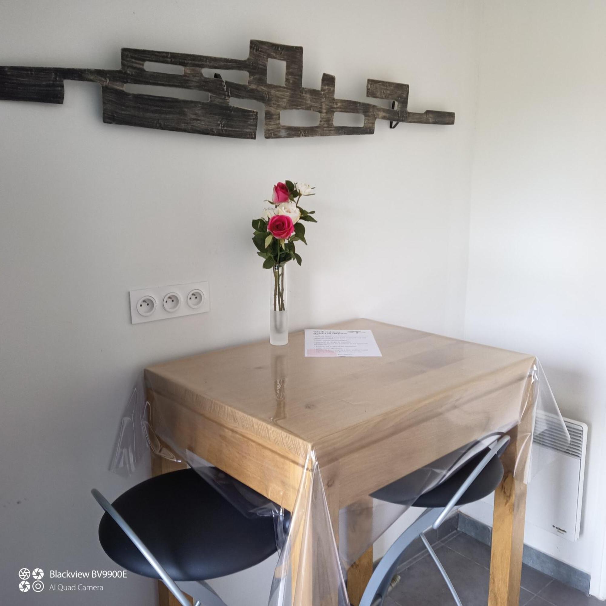 Apartamento La Clematite D'Olt Saint-Côme-dʼOlt Exterior foto