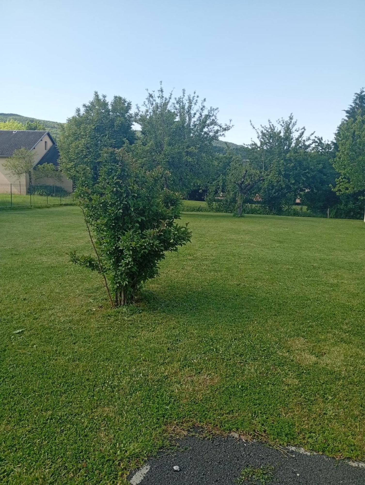 Apartamento La Clematite D'Olt Saint-Côme-dʼOlt Exterior foto